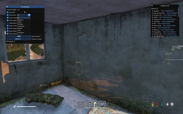 DayZ item ESP menu showing filters for weapons, ammunition, clothing, food, medical supplies, tools, and containers.